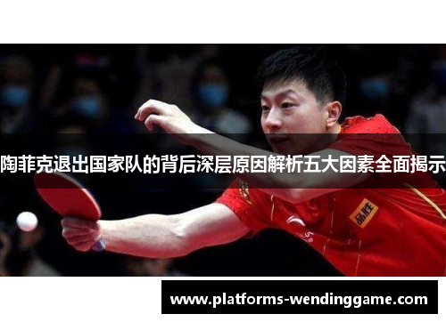 陶菲克退出国家队的背后深层原因解析五大因素全面揭示 陶菲克退出国家队的背后深层原因解析五大因素全面揭示