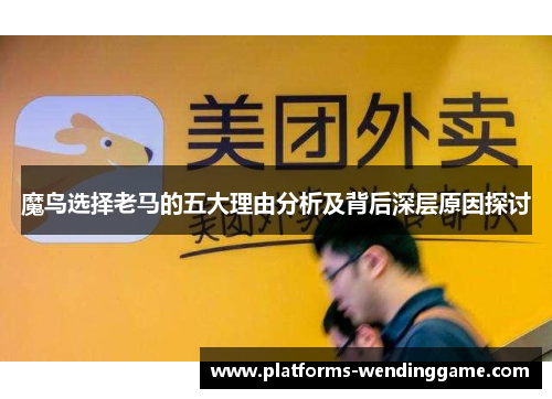 魔鸟选择老马的五大理由分析及背后深层原因探讨 魔鸟选择老马的五大理由分析及背后深层原因探讨