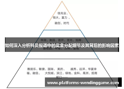 如何深入分析科贝报道中的奖金分配细节及其背后的影响因素