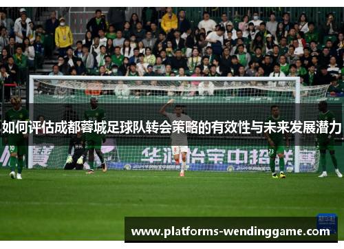 如何评估成都蓉城足球队转会策略的有效性与未来发展潜力